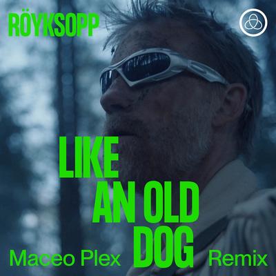 Like an Old Dog (Maceo Plex Remix) By Röyksopp, Pixx, Maceo Plex's cover