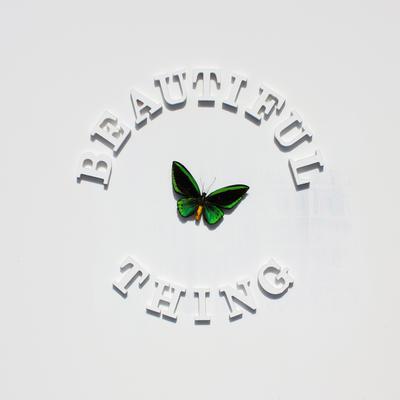 Beautiful Thing's cover