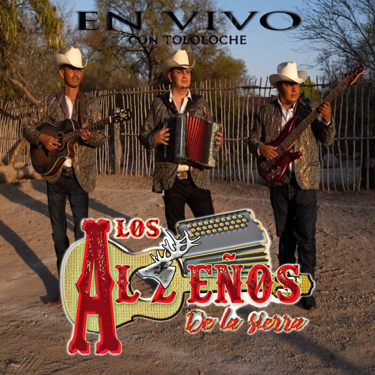 Los Alzeños de la Sierra's avatar image