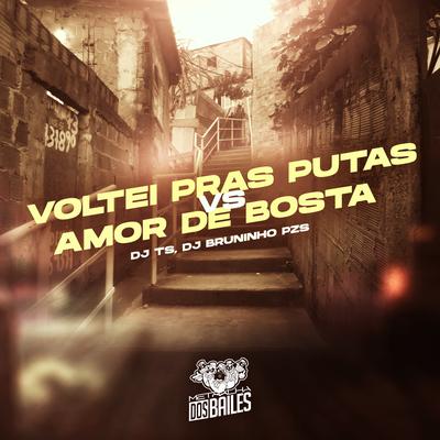 Voltei Pras Putas Vs Amor de Bosta By DJ TS, MC Levin, MC Luuh, Dj Bruninho Pzs, MC GP's cover