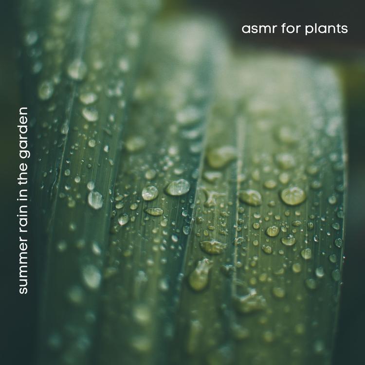 ASMR for Plants's avatar image