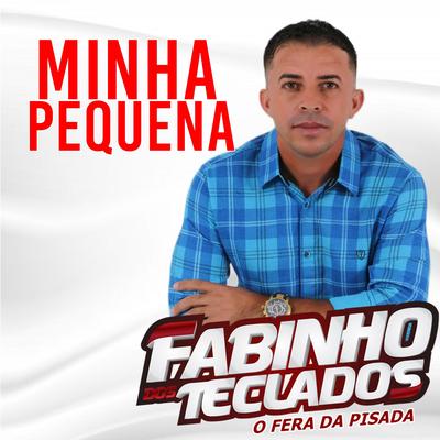 Minha Pequena (Ao Vivo) By Fabinho dos teclados's cover