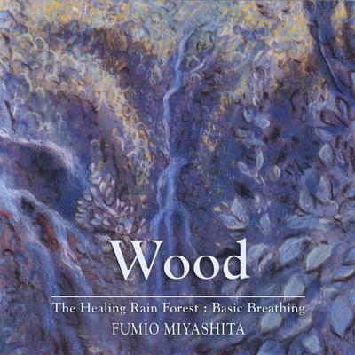 The Healing Rain Forest: Wood's cover