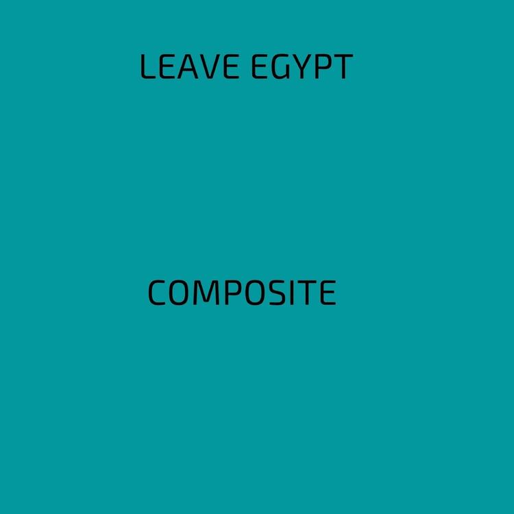 leave Egypt's avatar image