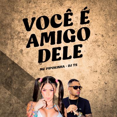 Você É Amigo Dele By MC Pipokinha, DJ TS's cover