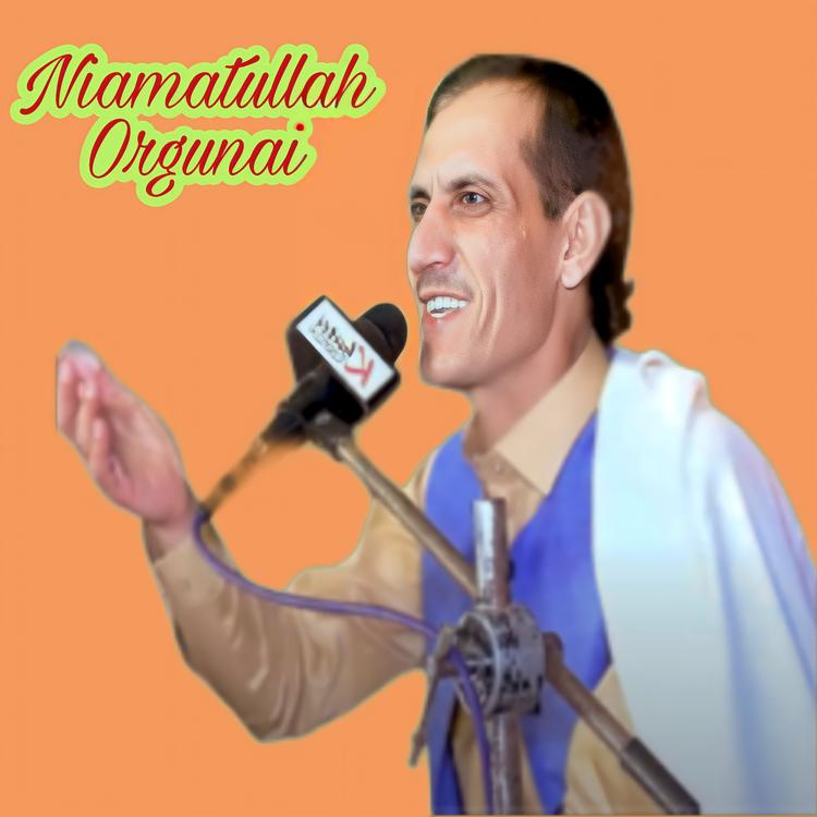 Niamatullah Orgunai's avatar image