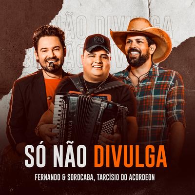 Só Não Divulga By Fernando & Sorocaba, Tarcísio do Acordeon's cover