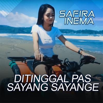 Ditinggal Pas Sayang Sayange's cover