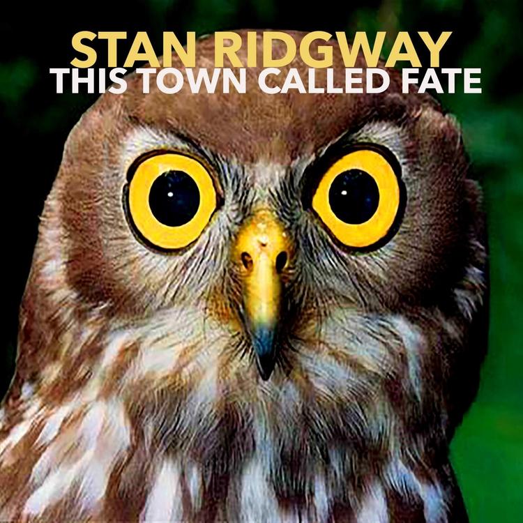 Stan Ridgway's avatar image