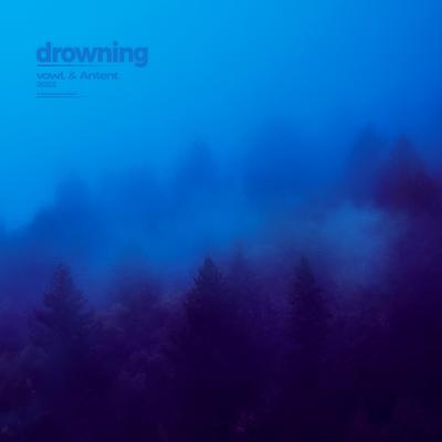 drowning's cover