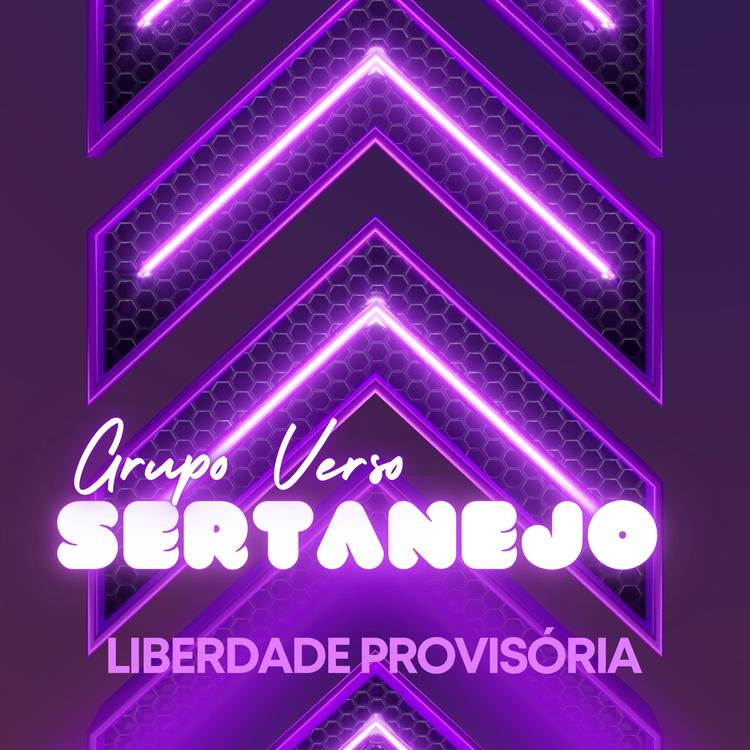 Grupo Verso Sertanejo's avatar image