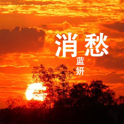 星月落's cover