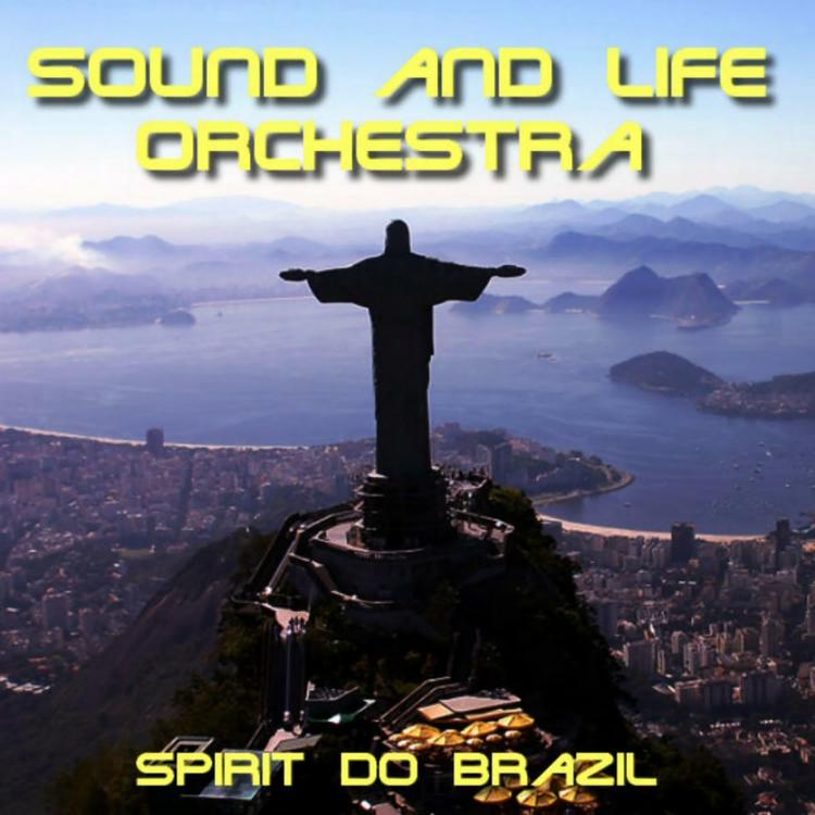 Sound And Life Orquestra's avatar image