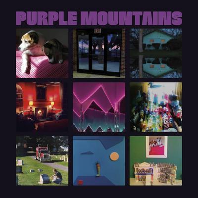 That's Just the Way That I Feel By Purple Mountains's cover