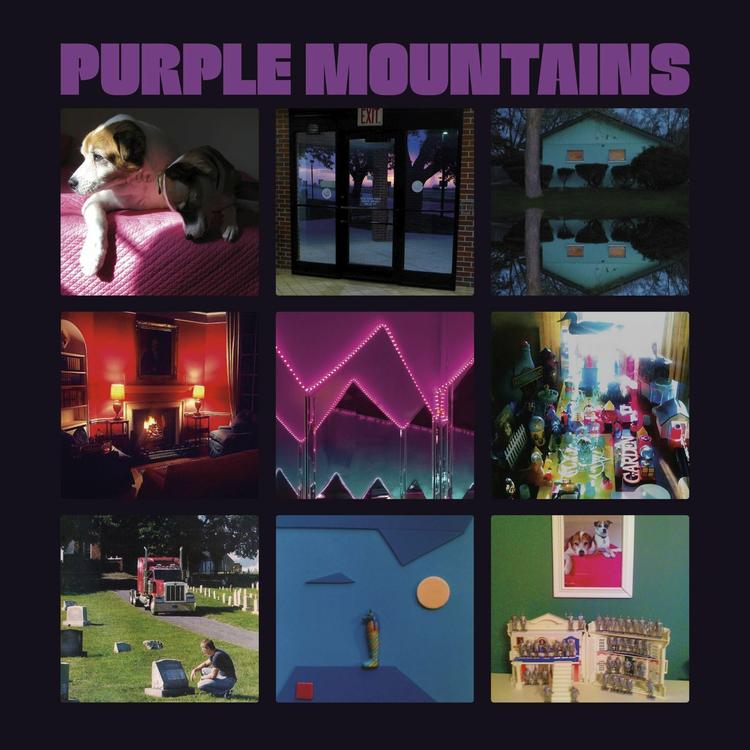 Purple Mountains's avatar image