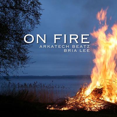 On Fire (Radio Edit)'s cover