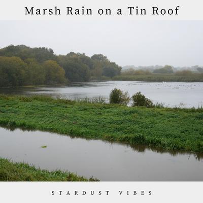 Marsh Rain on a Tin Roof By Stardust Vibes's cover