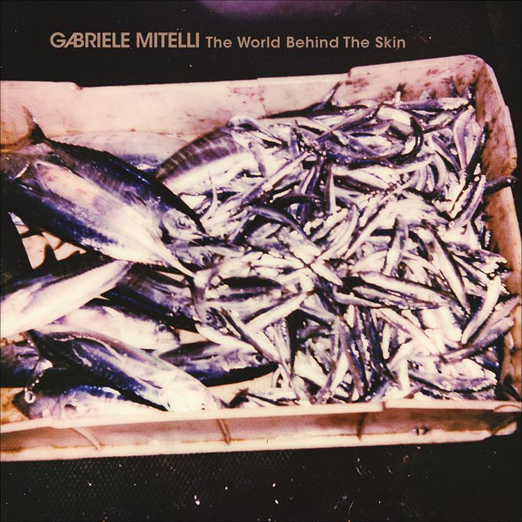 Gabriele Mitelli's avatar image