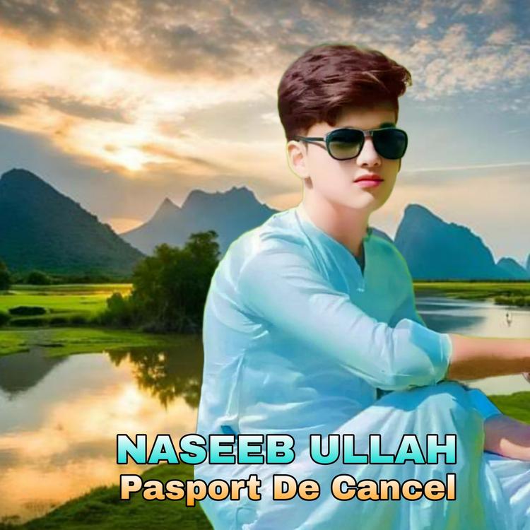 Naseeb ullah's avatar image