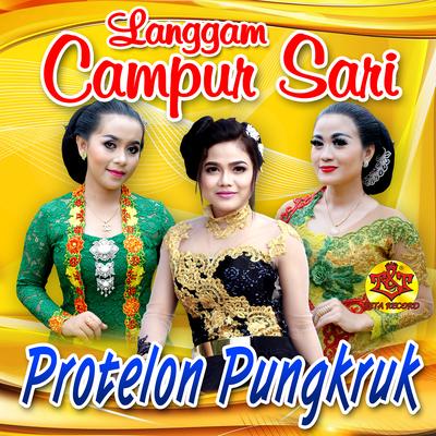 Protelon Pungkruk's cover