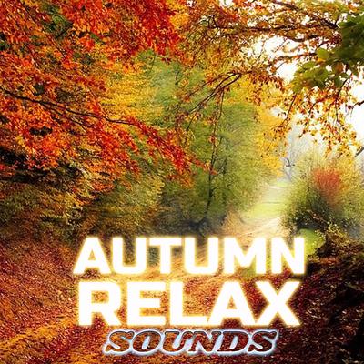 Cold Night Autumn Wind (feat. Wind Sounds, Cold Night Sleep Sounds, Perfect For Sleeping, Stress Relief, Sound Sleeping & Weather Storms)'s cover