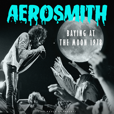 Get The Lead Out (live) By Aerosmith's cover