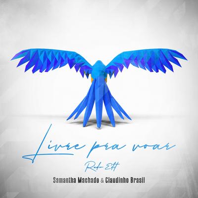 Livre Pra Voar (Radio Edit) By Samantha Machado, Claudinho Brasil's cover