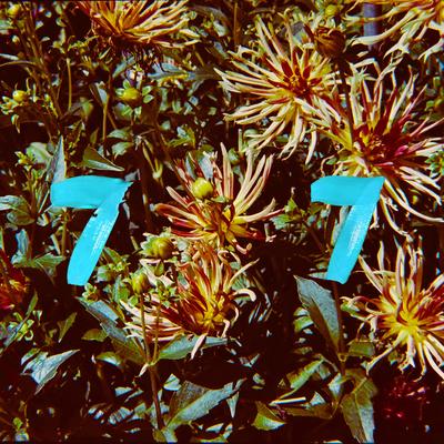 Fleur By B77's cover