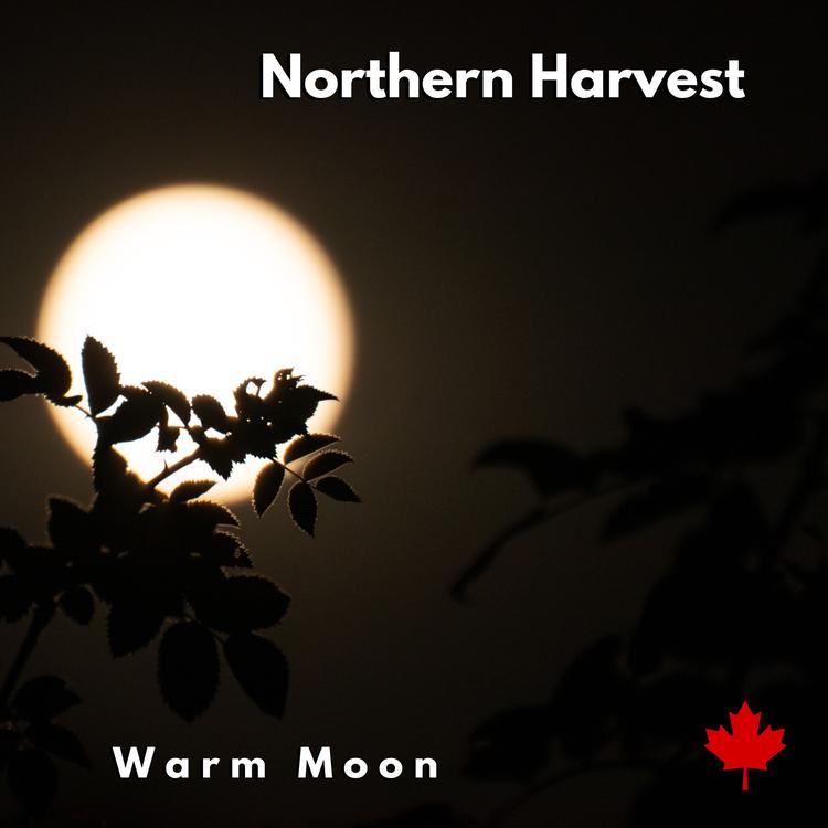 Northern Harvest's avatar image