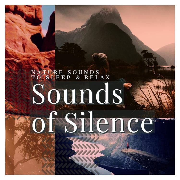 Sounds of Silence's avatar image