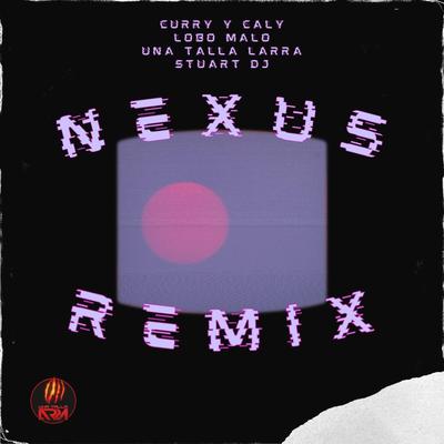 Nexus Remix's cover