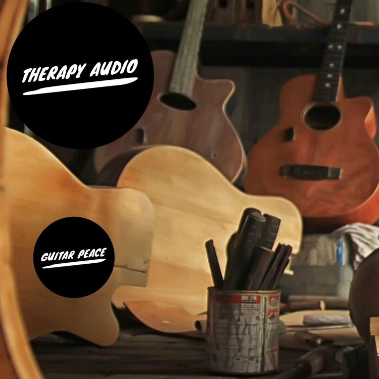 Therapy Audio's avatar image