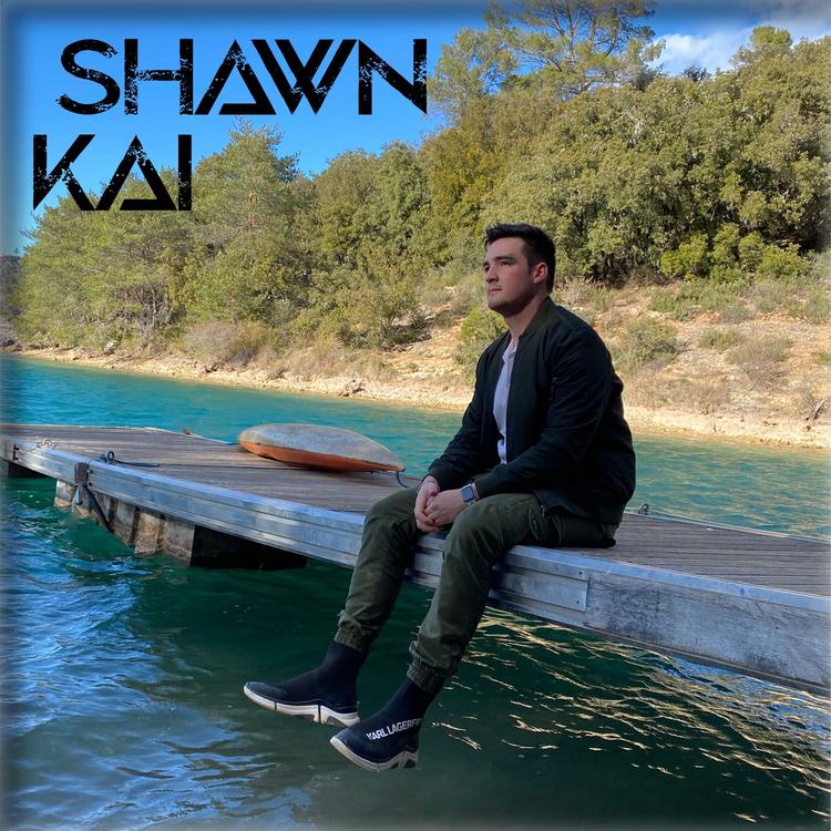 Shawn Kai's avatar image