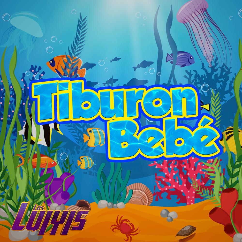 tiburon bebe