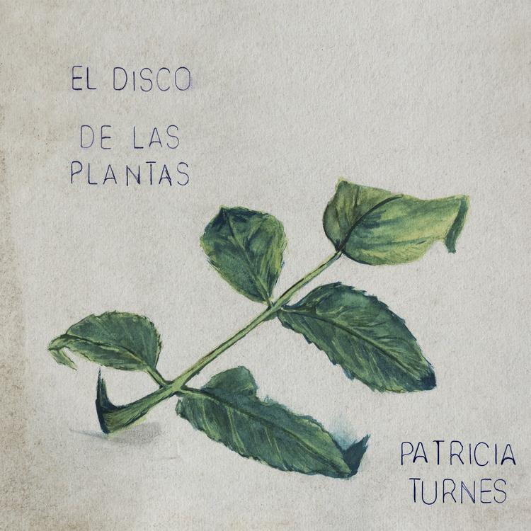 Patricia Turnes's avatar image