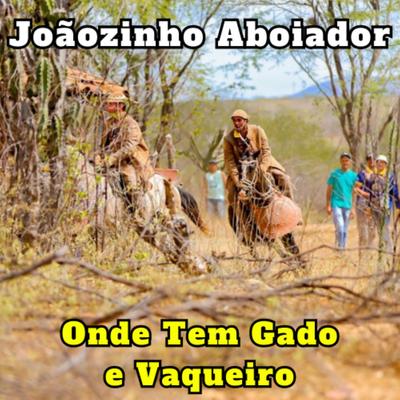 No Terreiro da Fazenda By Joãozinho Aboiador's cover