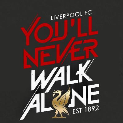 You'll Never Walk Alone By Hylton Chilchik's cover