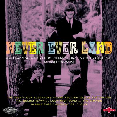 You're Gonna Miss Me (Mono LP Version - 2019 Remaster) By 13th Floor Elevators's cover