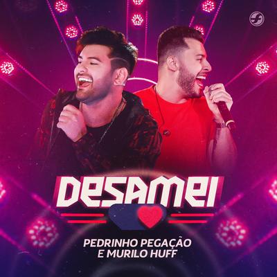 Desamei (Ao Vivo)'s cover