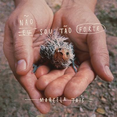 O Nome Mais Bonito (feat. Vocal Livre) By Marcela Tais, Vocal Livre's cover