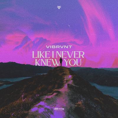 Like I Never Knew You By Vibrvnt, Different Records's cover