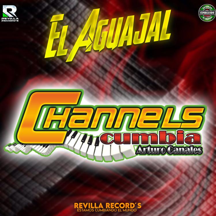 Channels cumbia's avatar image