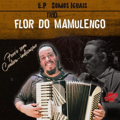 Fui Enganado's cover