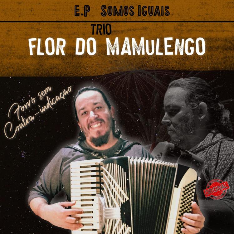 Trio Flor do Mamulengo's avatar image