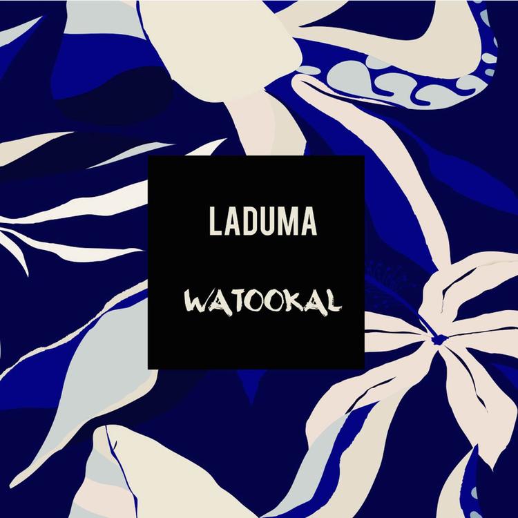 Laduma's avatar image