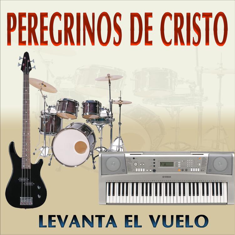 Peregrinos de Cristo's avatar image