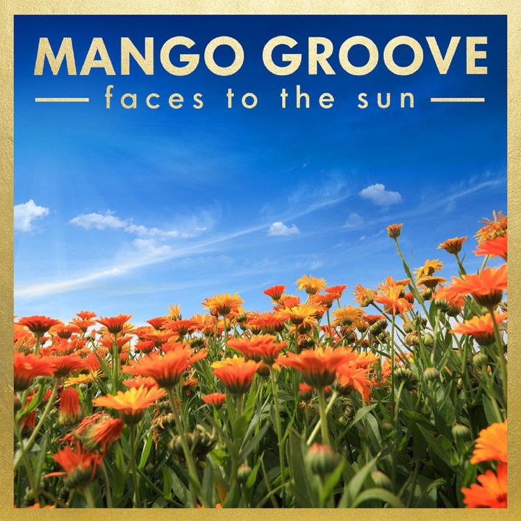 Mango Groove's avatar image