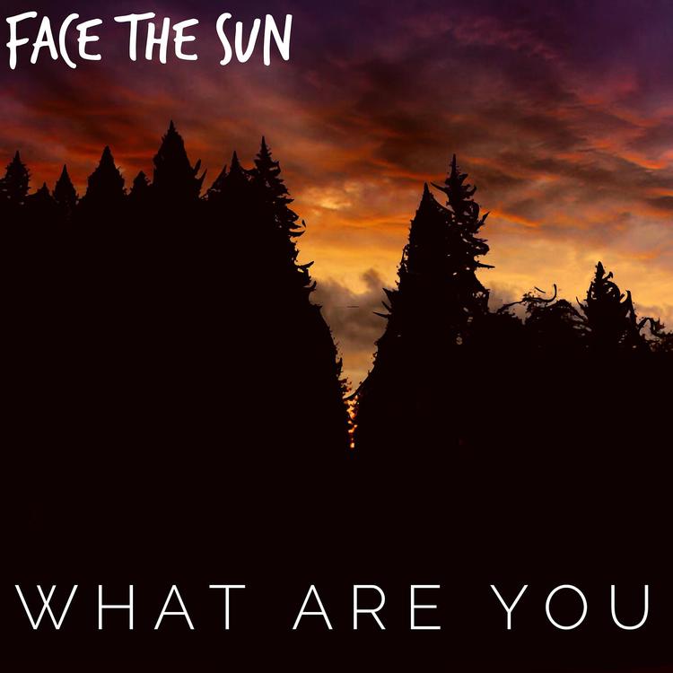 Face The Sun's avatar image
