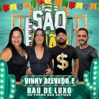 Vinny Azevedo e Baú de Luxo's avatar cover