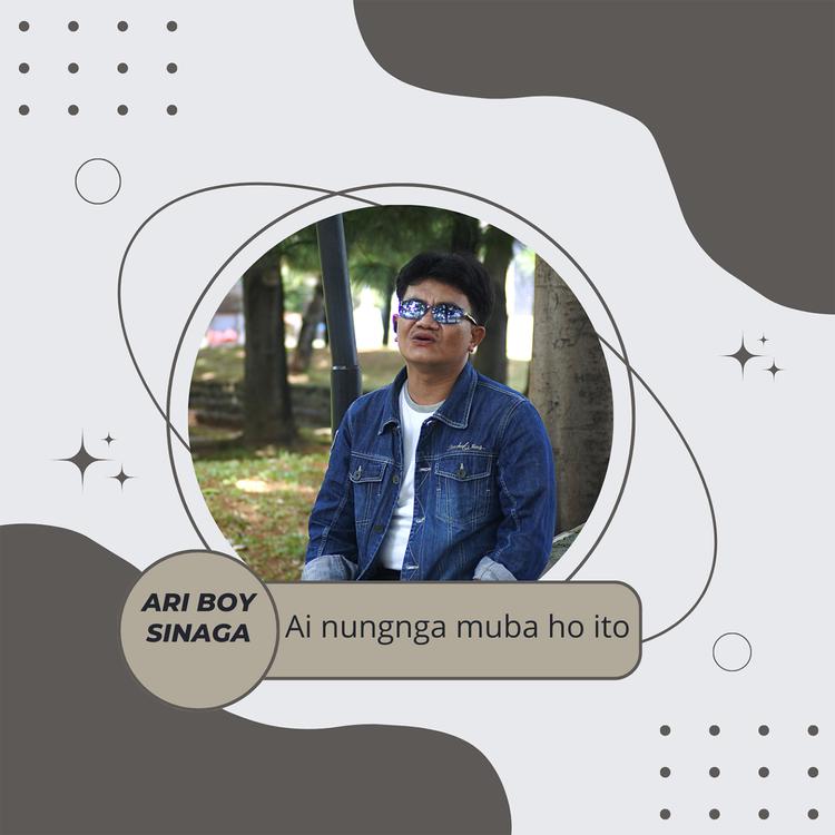 Ari boy sinaga's avatar image